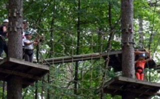 Instalación en los árboles 